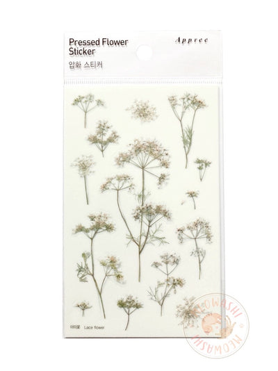 Appree pressed flower sticker - Lace flower APS-027