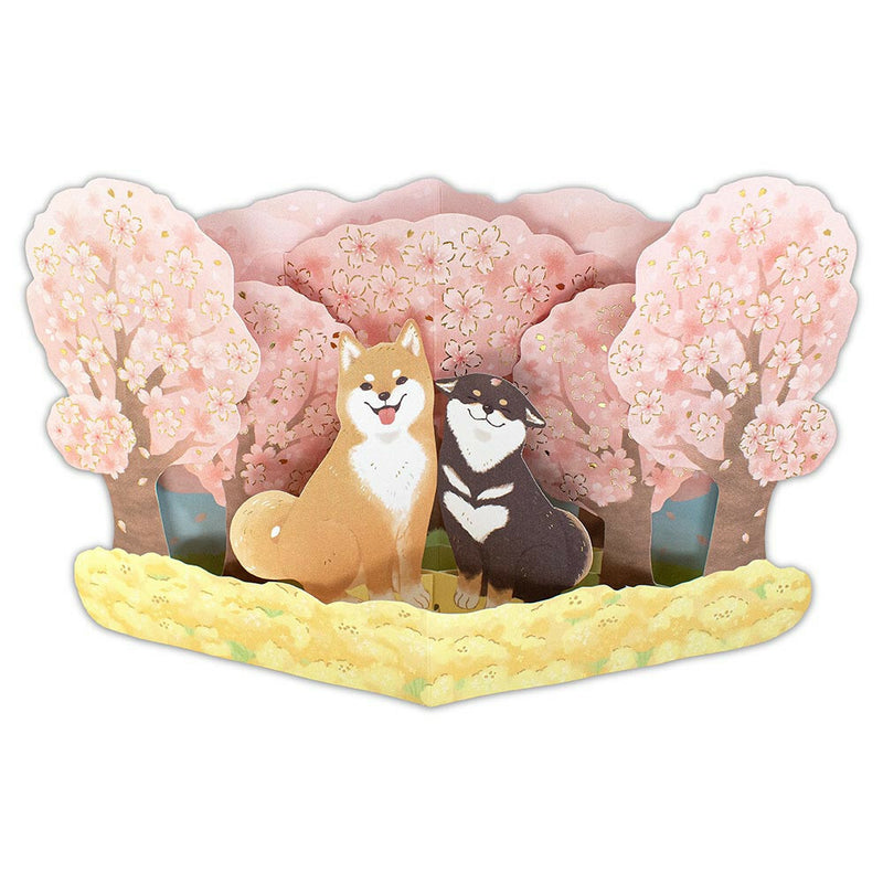 NB 3D Gold Foil Pop-UP All Occasion Greeting Card and Envelope Set - Shiba Dog and Sakura 1166312