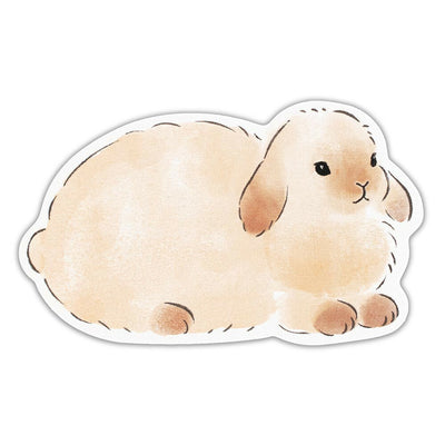 NB Fluffy Animals Message Card - Rabbit 1204503