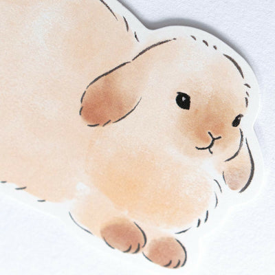 NB Fluffy Animals Message Card - Rabbit 1204503