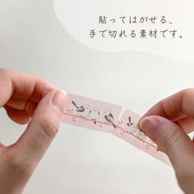 NB Clear PET Tape - Shimaenaga