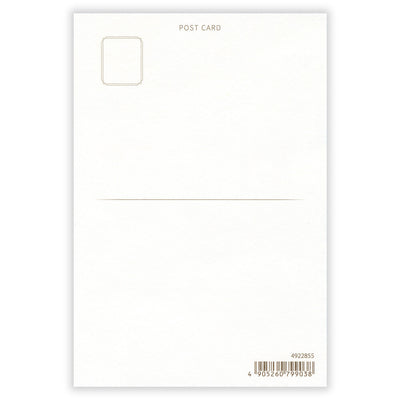 NB 2025 Winter Holographic Foil Postcard - Forest Night