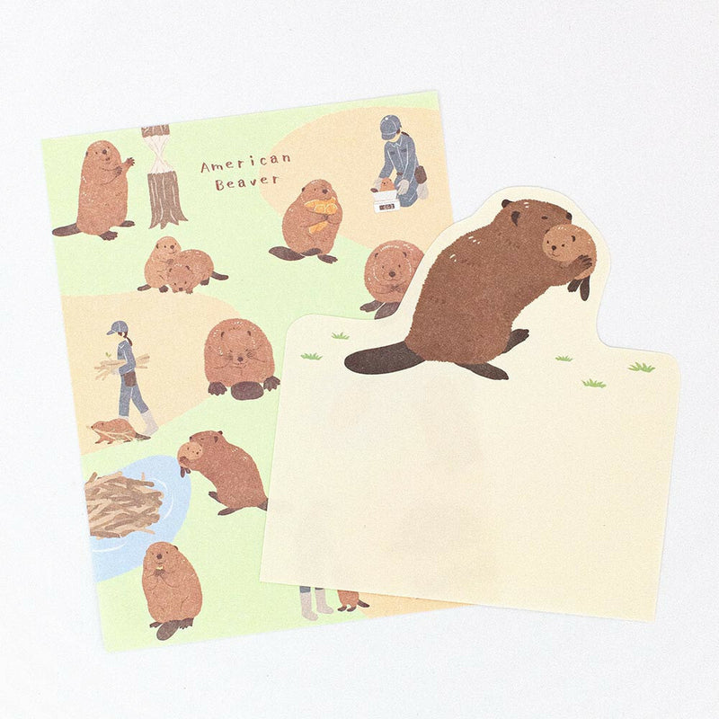 NB ZOOm in Animals Memo Pad - Beaver 5422205