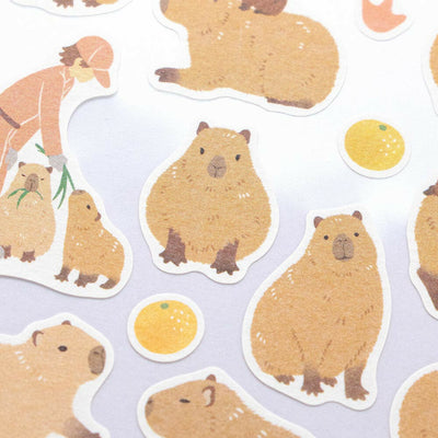 NB ZOOm in Animals Sticker - Capybara 5424101