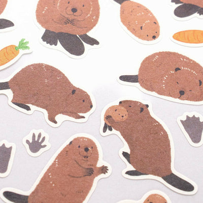 NB ZOOm in Animals Sticker - Beaver 5424105