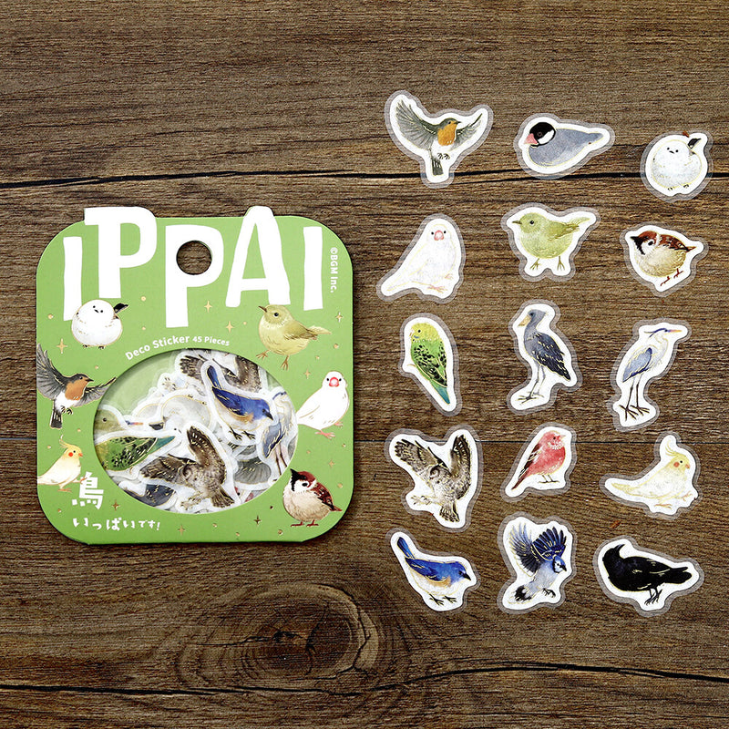 Set of bird-themed stickers on a wooden surface with &