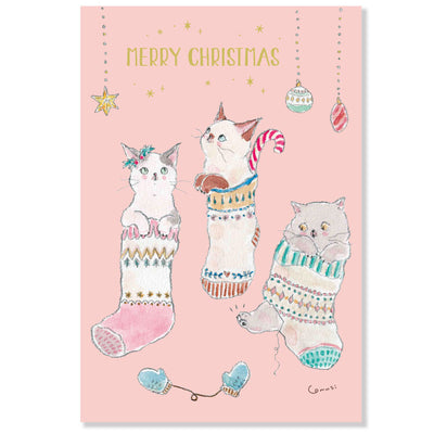 Active Corporation x Tocoro Comugi Christmas Postcard - Socks CMP-411