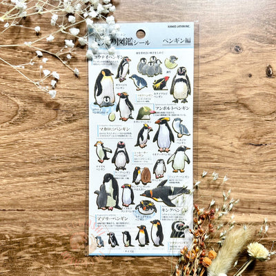 Kamio Visual Dictionary for Adults Sticker - Penguin 726226