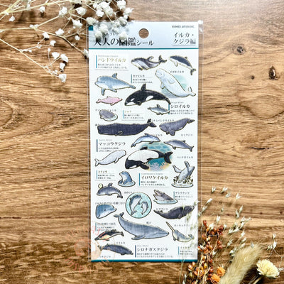 Kamio Visual Dictionary for Adults Sticker - Dolphin and Whale 215283