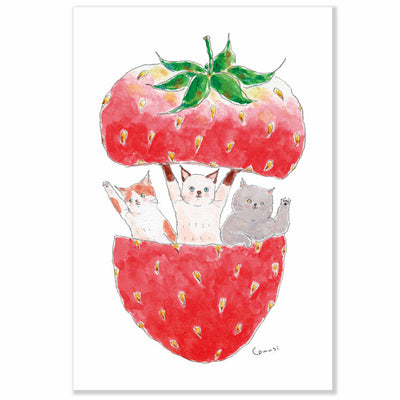 Active Corporation x Tocorocomugi Postcard - Cat and Strawberry K06-PG-262