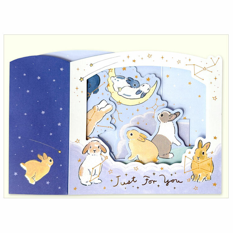 Active Corporation x Shinako Moriyama 3D Pop-UP All Occasion Greeting Card - Starry Sky L01-GJ-262