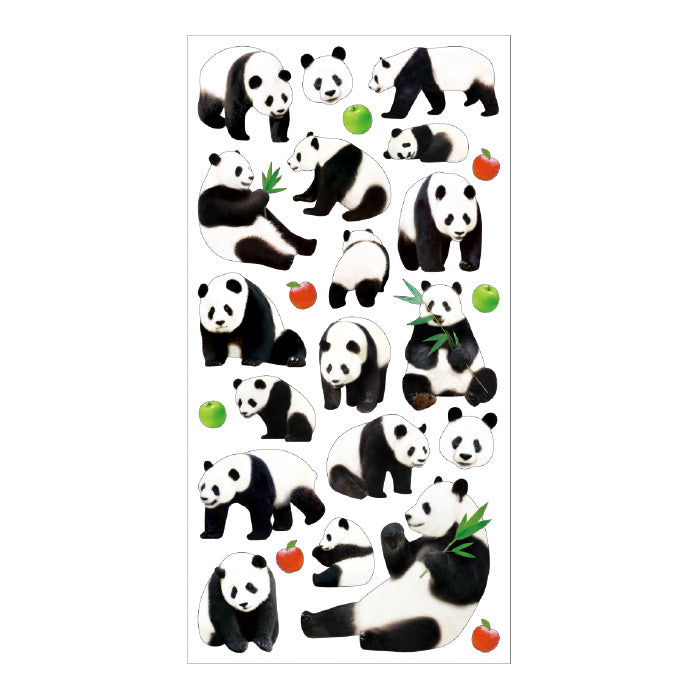 Mind Wave photo series - Panda sticker 11919