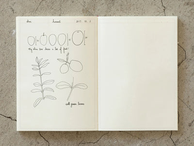 Midori MD Notebook Journal - A5 Frame 15258