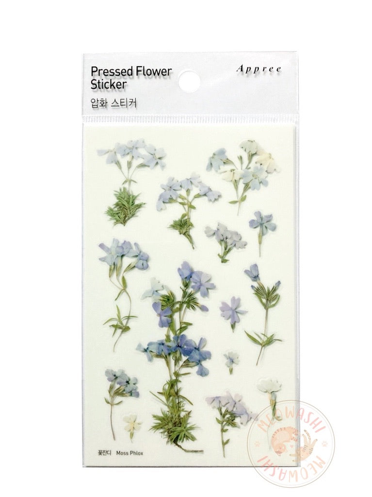 Appree pressed flower sticker - Moss phlox APS-030