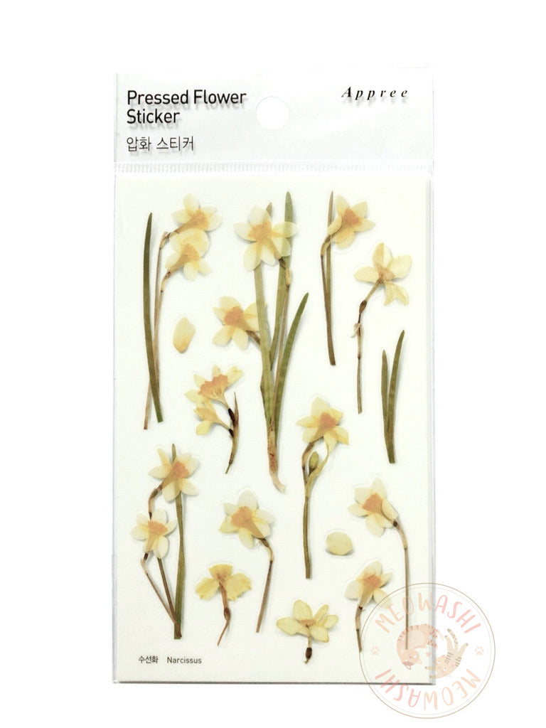 Appree pressed flower sticker - Narcissus APS-029