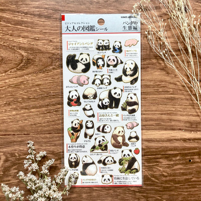 Kamio Visual Dictionary for Adults Sticker - Panda 707286