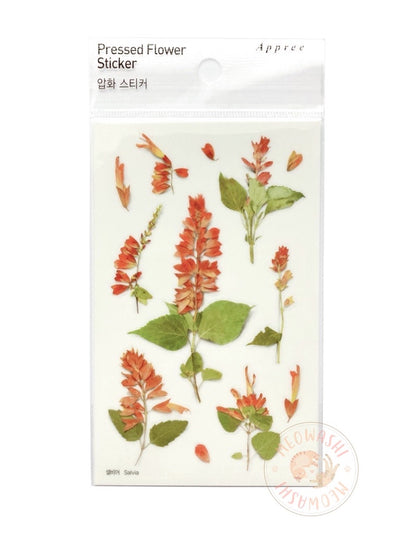 Appree pressed flower sticker - Salvia APS-025