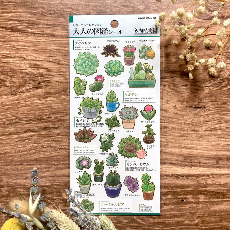Kamio Visual Dictionary for Adults Sticker - Succulent Plant 204766