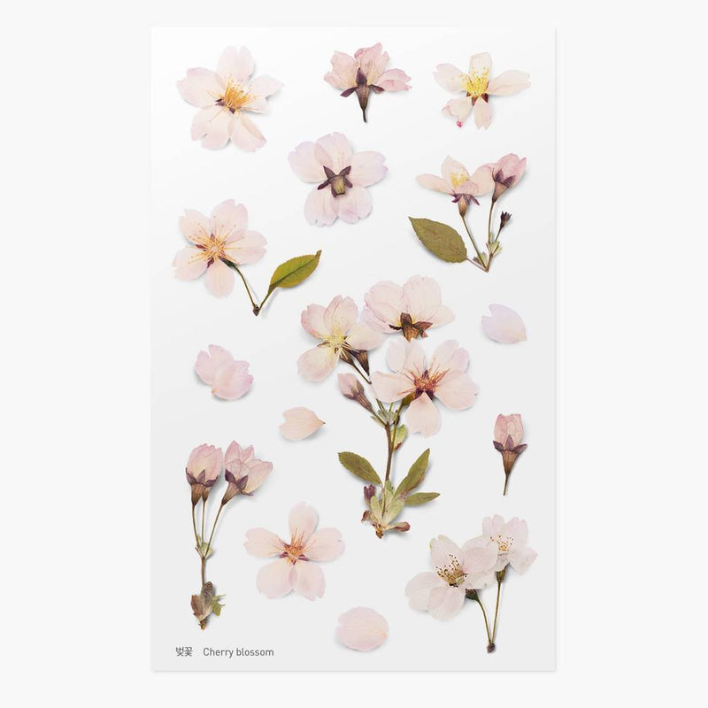 Appree Pressed Flower Sticker - Flax