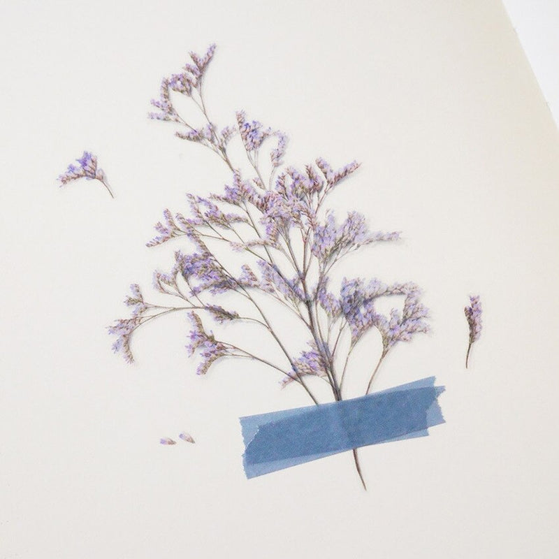 Appree pressed flower sticker - Misty blue