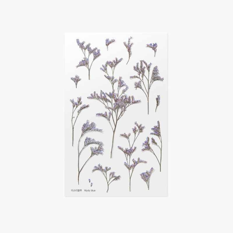 Appree pressed flower sticker - Misty blue APS-028
