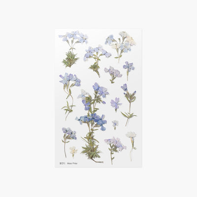 Appree pressed flower sticker - Moss phlox APS-030