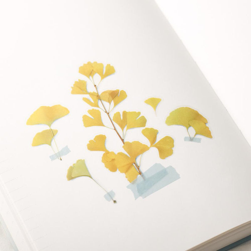 Appree pressed flower sticker - Ginkgo APS-031