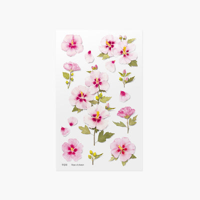 Appree pressed flower sticker - Rose of Sharon APS-038