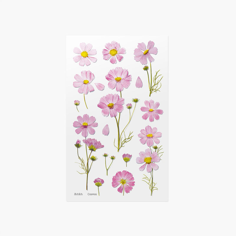 Appree Pressed Flower Sticker - Cosmos