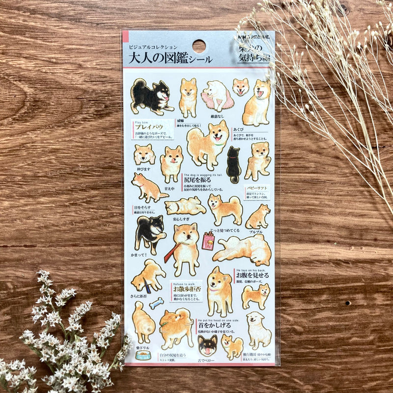 Kamio Visual Dictionary for Adults Sticker - Shiba Dog 700650
