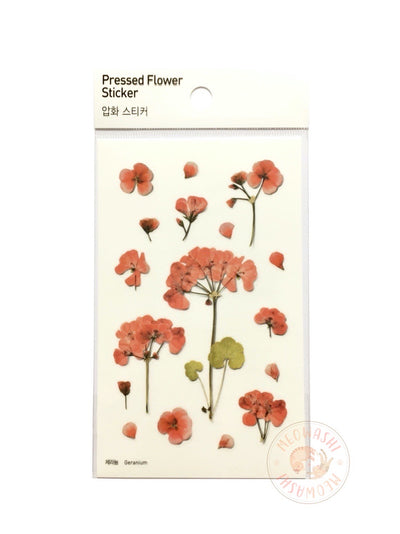Appree Rose of Sharon Pressed Flower Sticker - Fallindesign