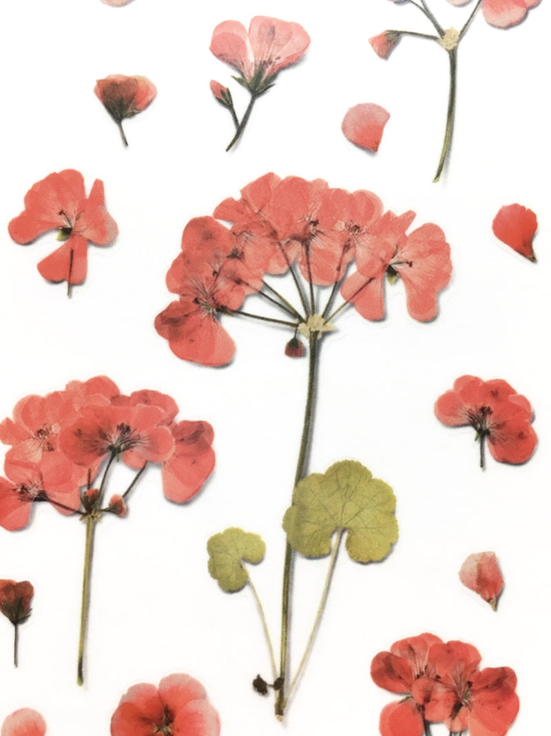 Appree pressed flower sticker - Geranium APS-009