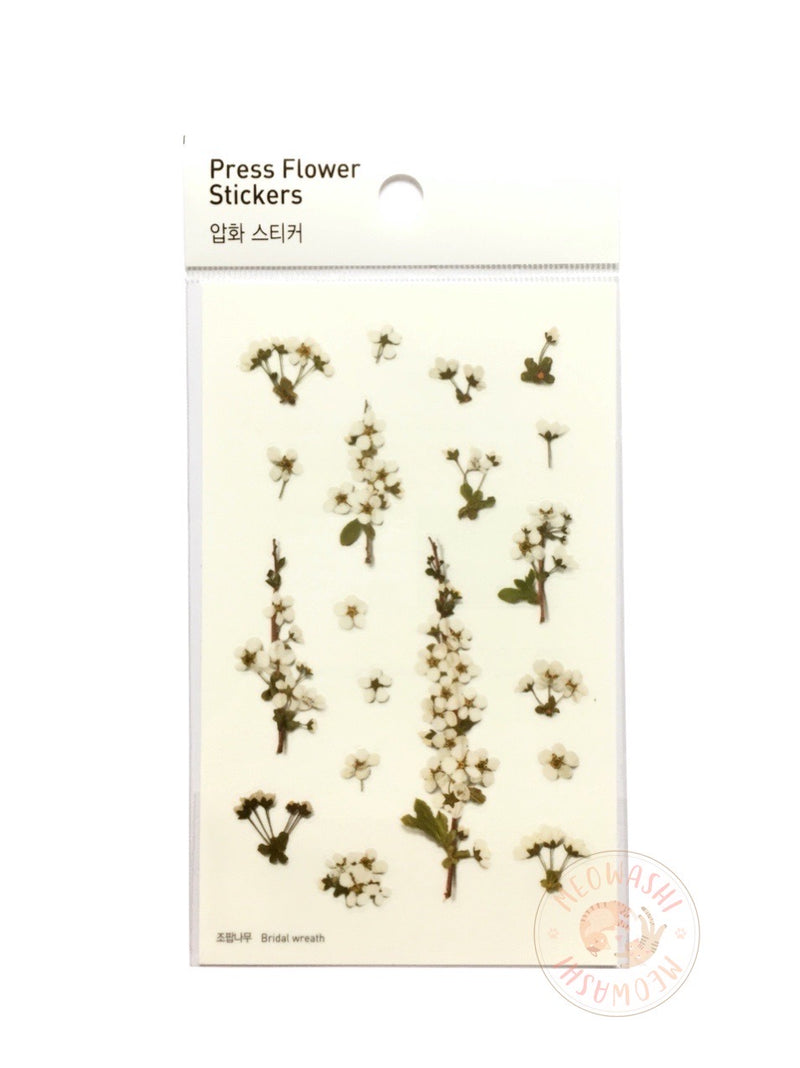 Appree pressed flower sticker - Bridal wreath APS-010