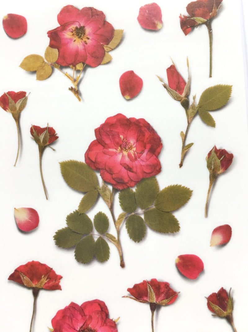 Appree pressed flower sticker - Mini rose APS-015
