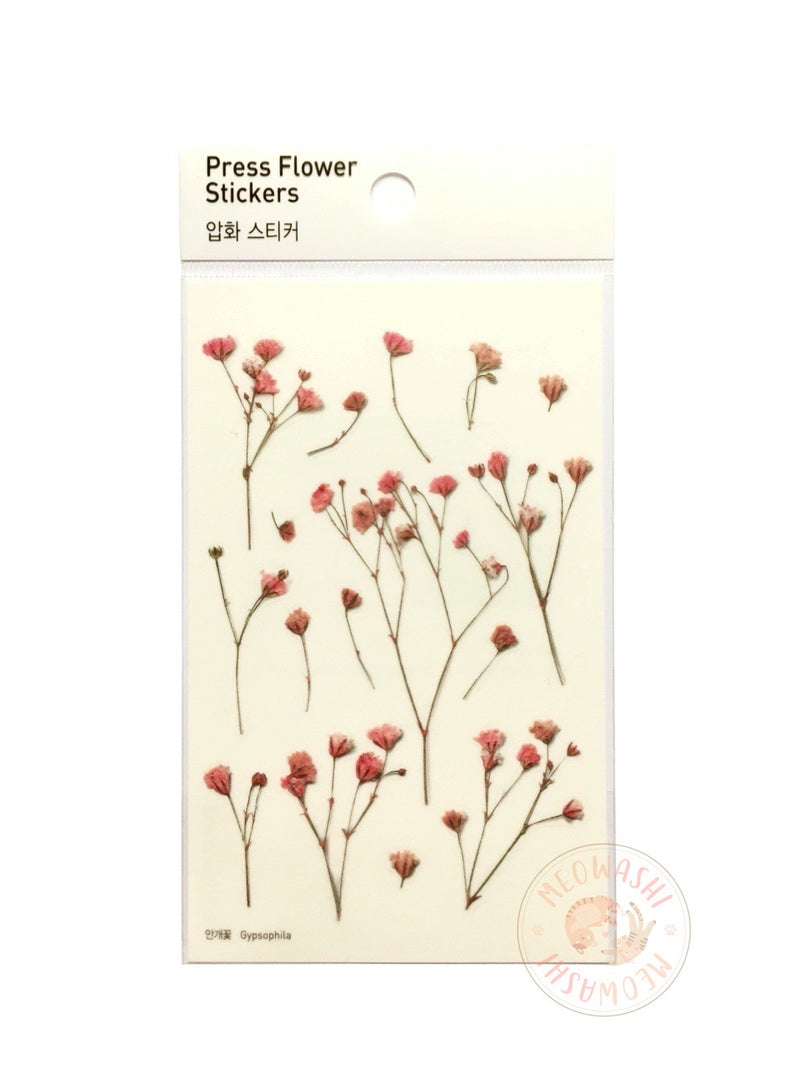 Appree pressed flower sticker - Gypsophila APS-001