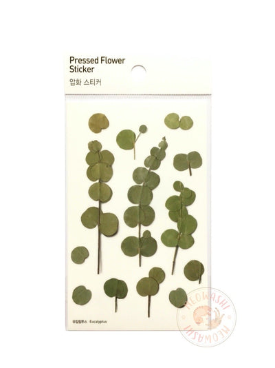 Appree pressed flower sticker - Eucalyptus APS-002
