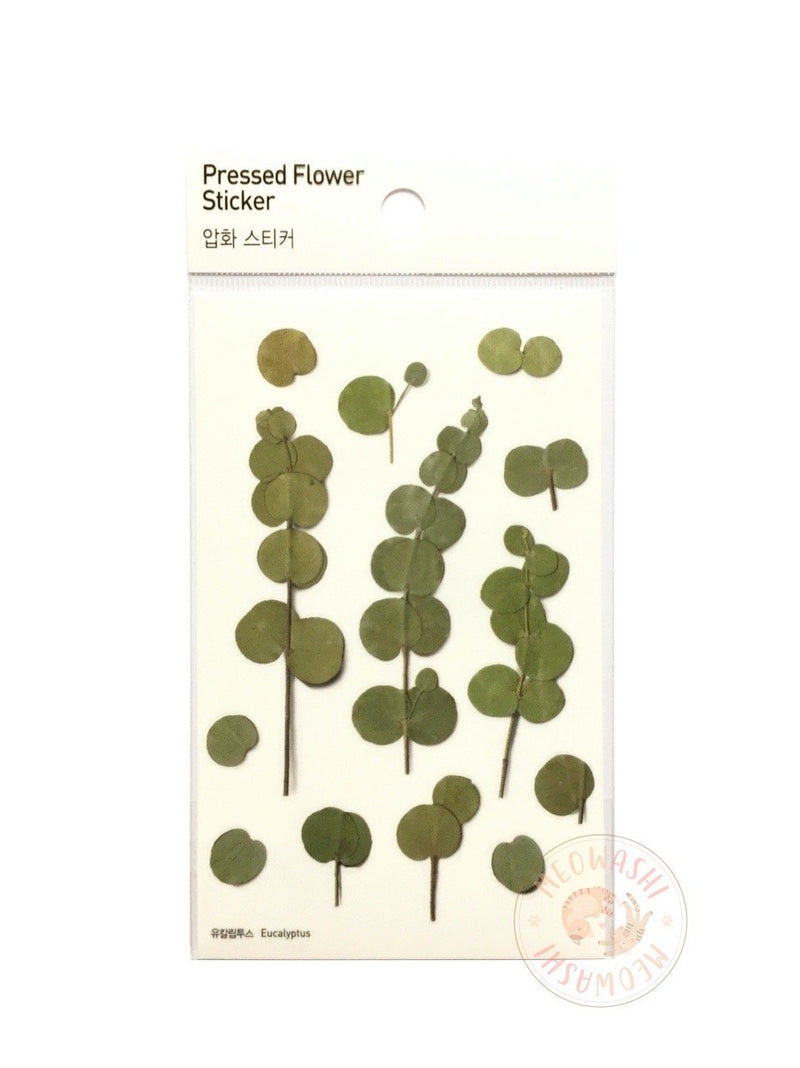 Appree pressed flower sticker - Eucalyptus APS-002