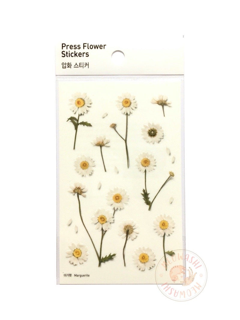 Appree pressed flower sticker - Marguerite (Daisy) APS-004