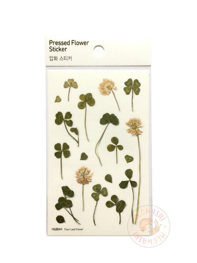 Appree pressed flower sticker - Four leaf clover APS-006