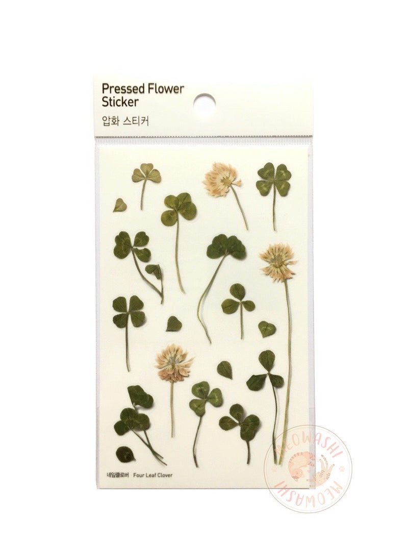Appree pressed flower sticker - Four leaf clover APS-006