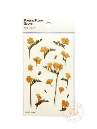 Appree pressed flower sticker - Freesia APS-007
