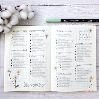 Bullet journal daily log decorated with Appree pressed flower sticker - Marguerite (Daisy)