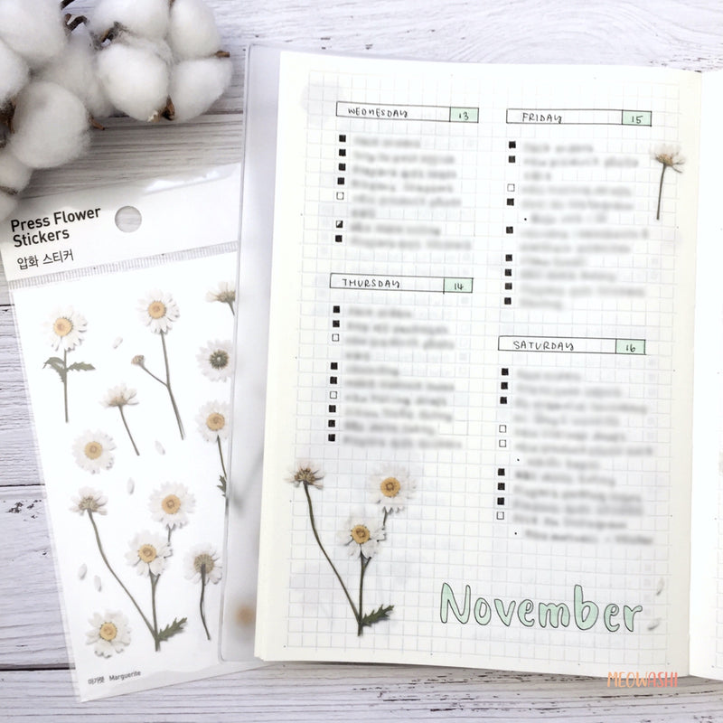 Bullet journal daily log decorated with Appree pressed flower sticker - Marguerite (Daisy)